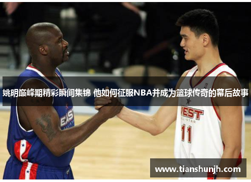 姚明巅峰期精彩瞬间集锦 他如何征服NBA并成为篮球传奇的幕后故事